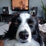 Lee Dufour profil fotoğrafı
