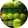 ponkichi profil fotoğrafı