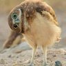 mustafa ercanli profil fotoğrafı