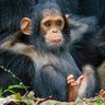 Nonaya Business's profile picture
