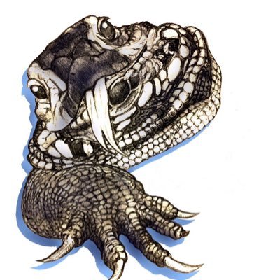ashley_lizard's profile picture
