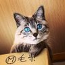 おしけん 的头像