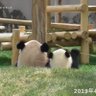 rky_fellows 的头像