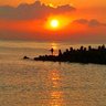 Aymanelsherif profil fotoğrafı