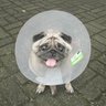 Profilbild von gunwbz
