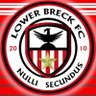 LOWER BRECK FC's profile picture