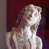 Matteo Civitali's profile picture