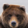 Profilbild von Dmytro