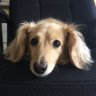 きなこママ's profile picture