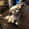 karl's profile picture