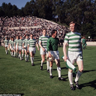 Peter Broughan's profile picture