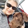 Sue....just Sue's profile picture