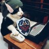 Фото профиля Video Gato