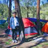 Mas-mas Tiket Bus Bali | Arda 🧟's profile picture