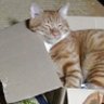ガブリエル 的头像