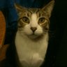 Profilbild von idalia rbn