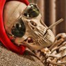 Фото профиля 🐝Honey bee🍯