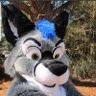 TheCarFox profil fotoğrafı