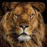 marcus antonius's profile picture