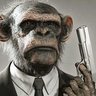 Profilbild von TNAKK