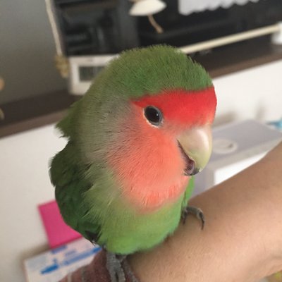 7WB3n3E4Pgb7K3w's profile picture