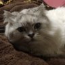 まっちゃん 的头像