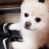 Matsumo's profile picture