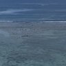 マサマサ 的头像