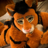 Boom!🐯's profile picture