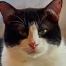 Profilbild von MC (same handle elsewhere):