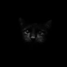 Profilbild von ผมชอบนักมวย ผมชอบเด็กช่าง