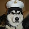 s大u's profile picture