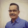 Pedro Silva's profile picture