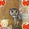 ãµããã¢ãã's profile picture