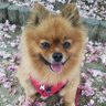 レオママ's profile picture