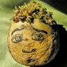 patates's profile picture