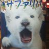 ニューシップ profil fotoğrafı