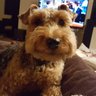 Michelle Blankenboat's profile picture