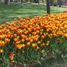 Фото профиля Sevgi Erbak
