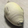 Profilbild von tyronetyler