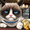 Catoshi's profile picture