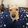 アメオトコ profil fotoğrafı