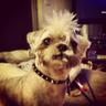 NeuralPhreak's profile picture