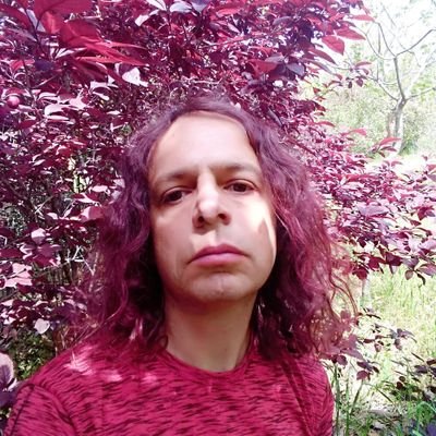 Amir Hetsroni's profile picture