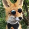 Foxwardo 的头像