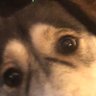 Profilbild von Jerome