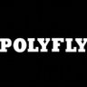 The PolyFly Experience profil fotoğrafı