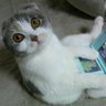 うるず's profile picture