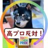Profilbild von alto肉球新党