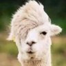 khalil's profile picture